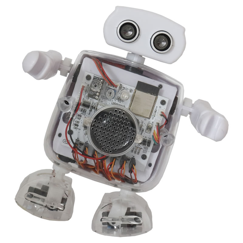 透明ボディのクムクム